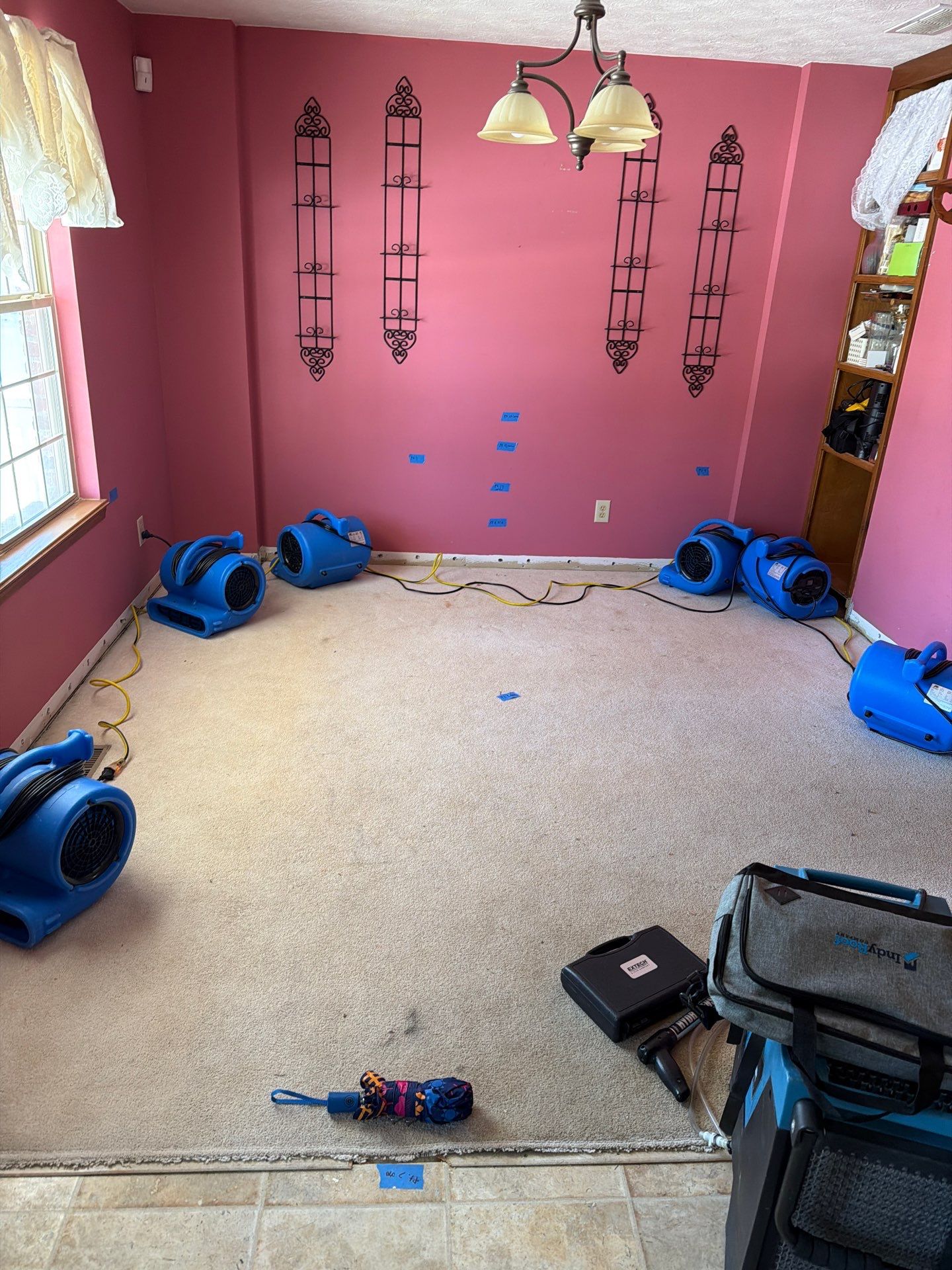 Water Damage Behind Walls in Crothersville: Hidden Leak Detection